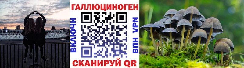 Псилоцибиновые грибы прущие грибы  Новохопёрск 